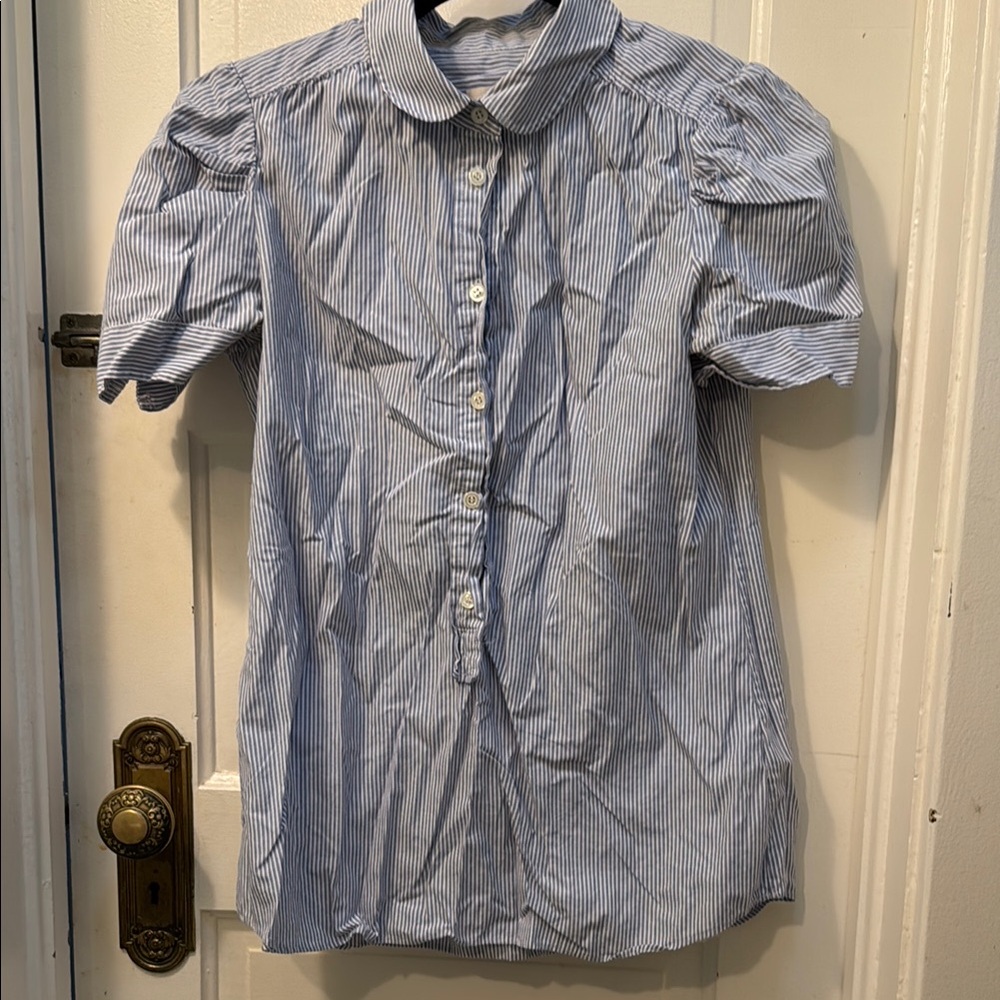 J. Crew Blue Striped Button Down Shirt